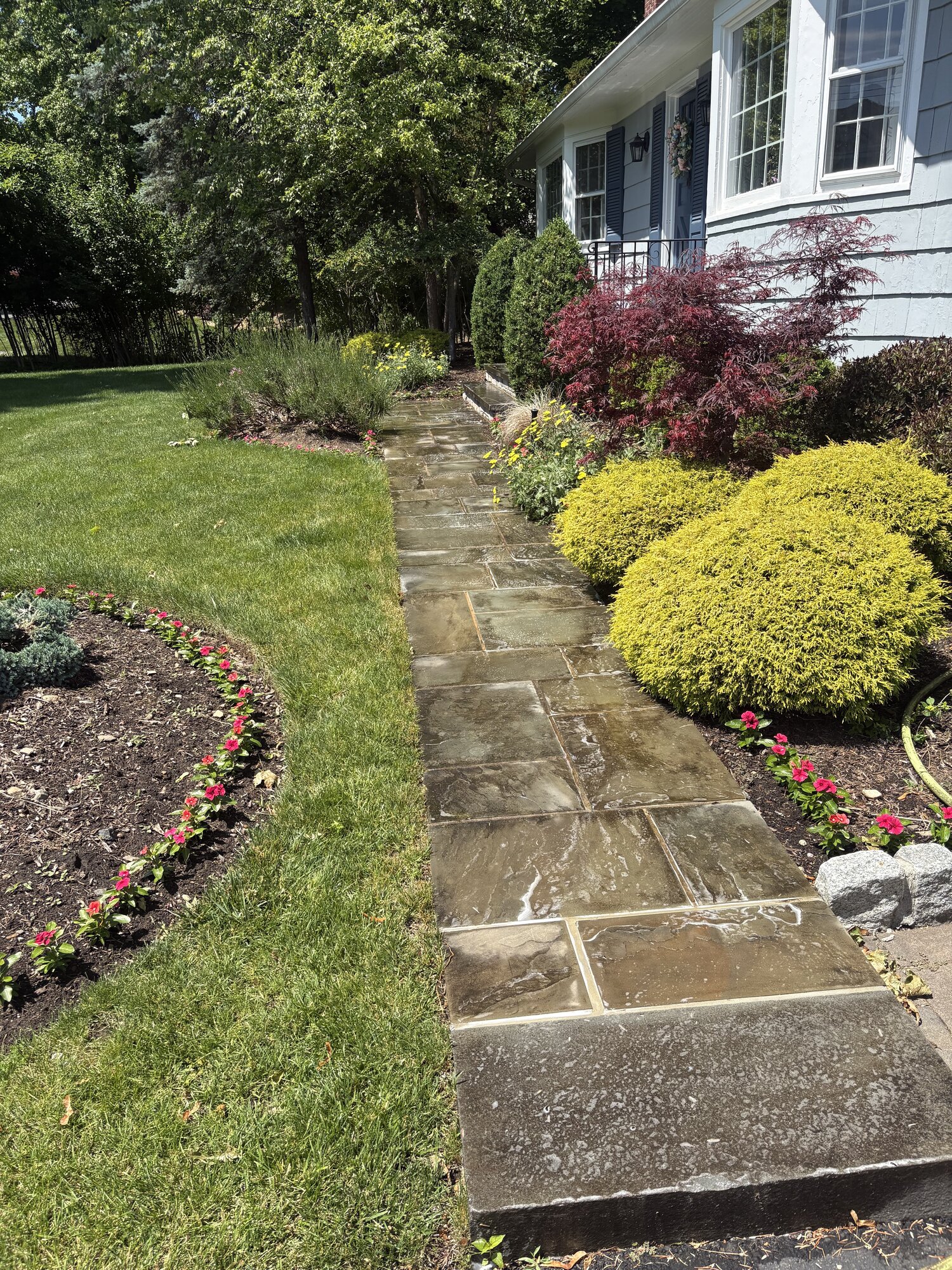 Clean stone walkway and landscaping after pressure washing