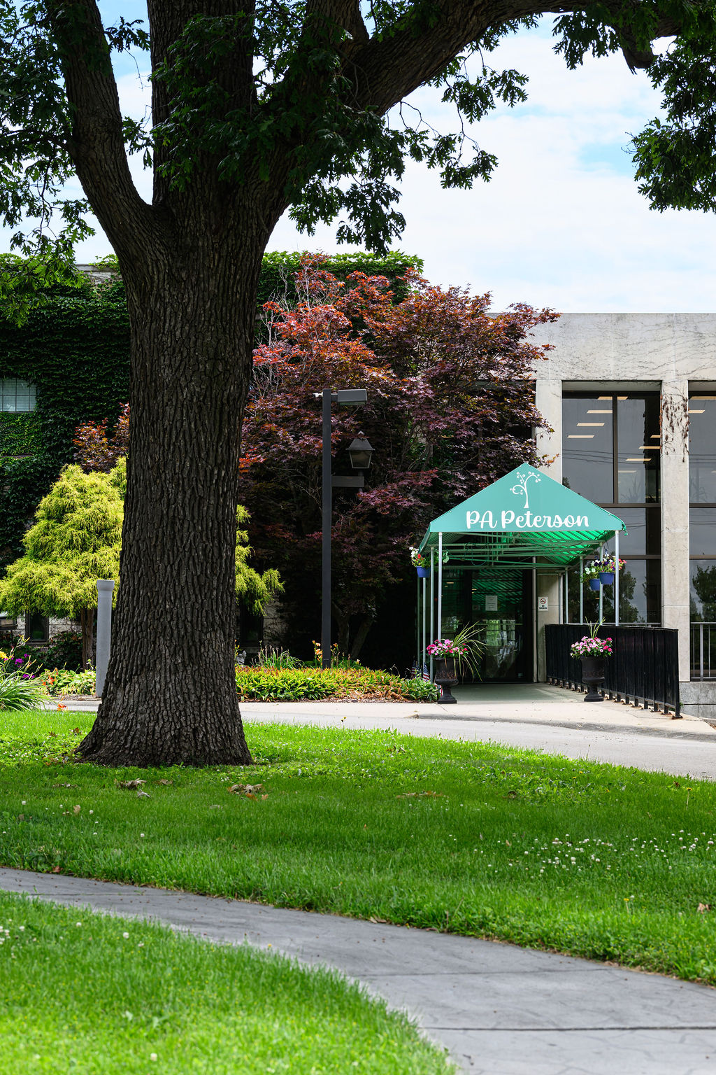 Large tree trunk in green lawn with building entrance covered by teal canopy labeled PA Peterson.