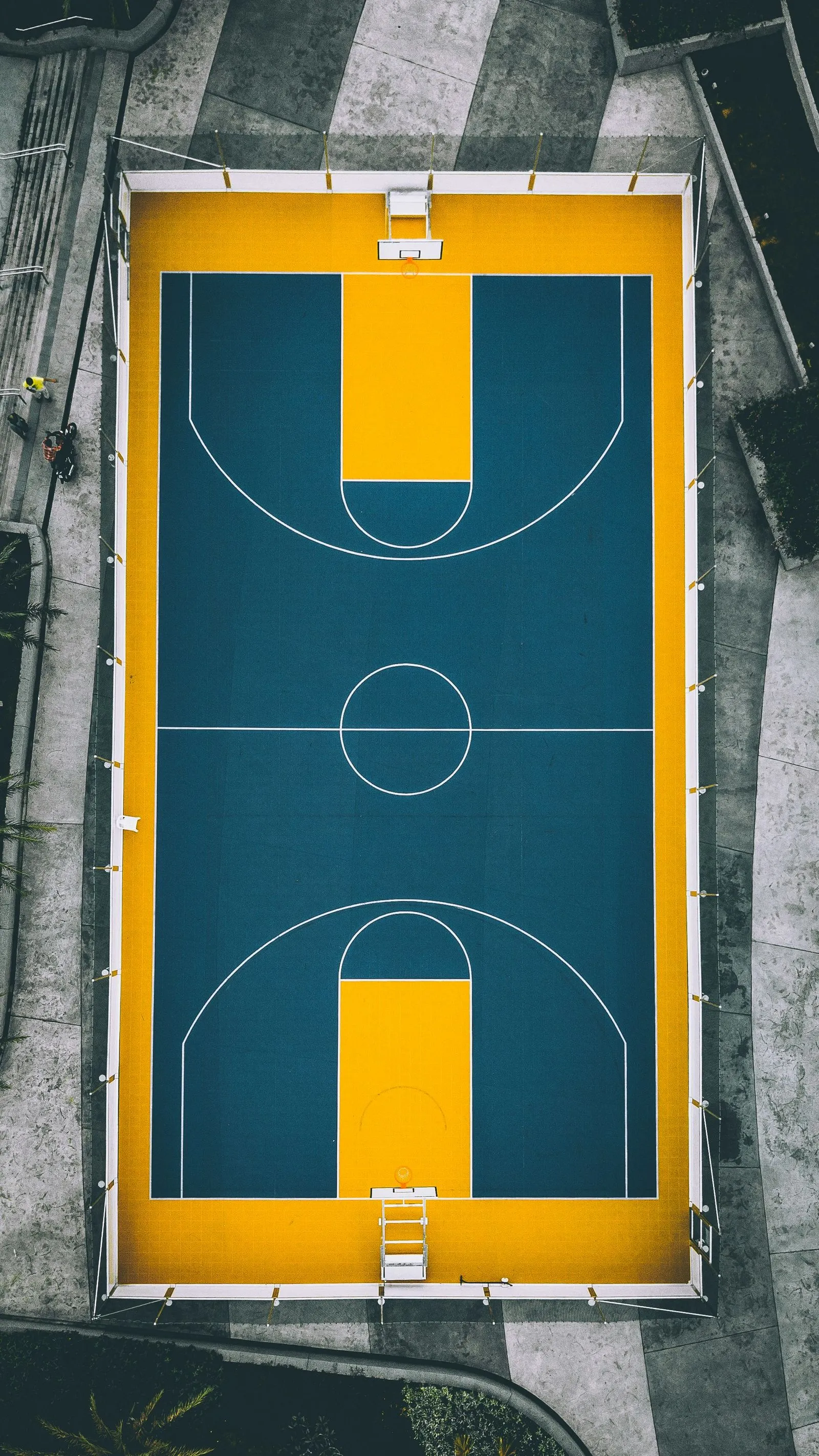 Basketball Rules: All You Need To Know