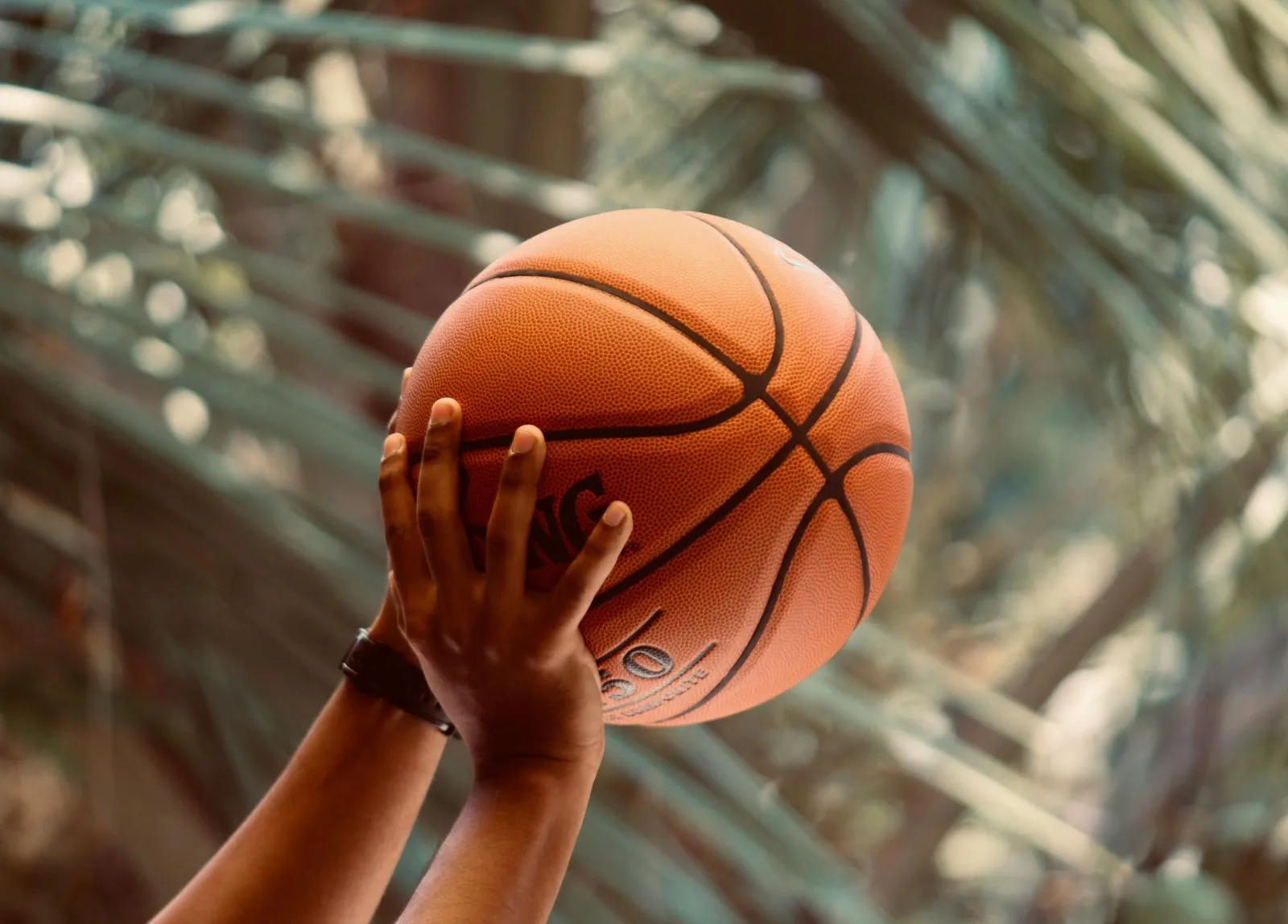 How to Shoot a Basketball