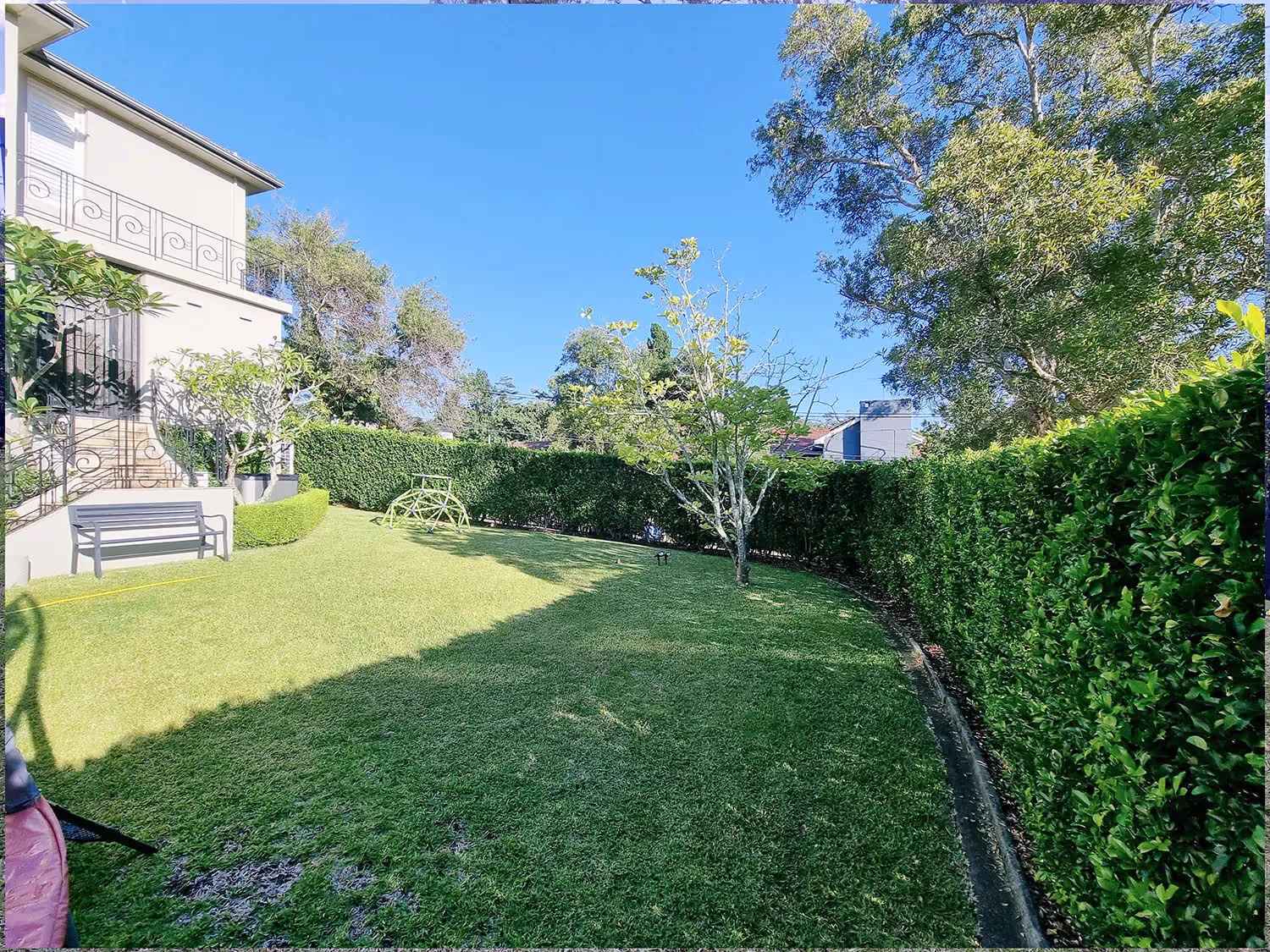 A green lawn with a bench in the middle of it.