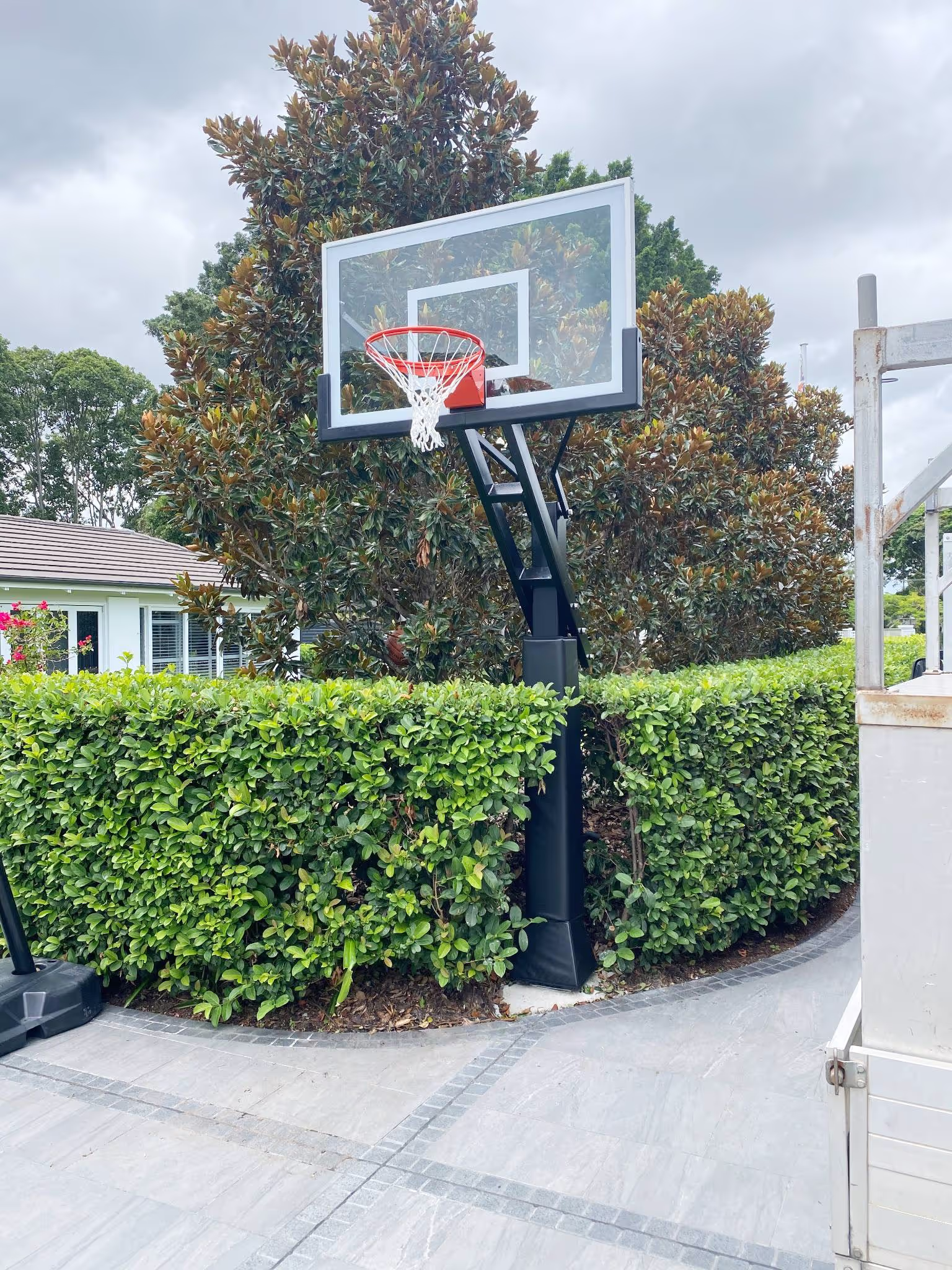 Basketball ring with a row of bushes beneath it.