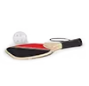 Pickleball paddle and ball on a transparent background.