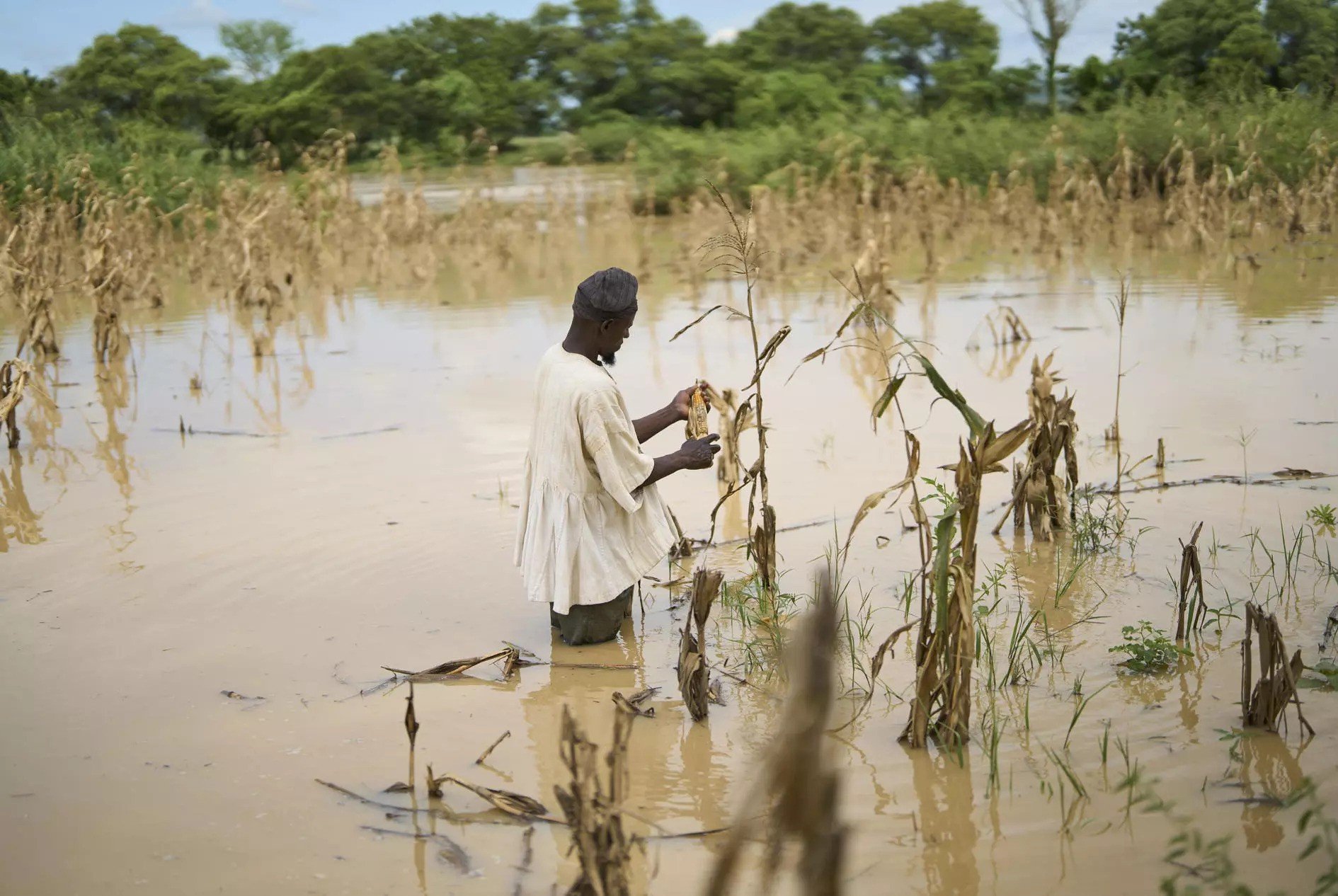 Polluted river in Ghana. Credit: WaterAid/ Nana Kofi Acquah