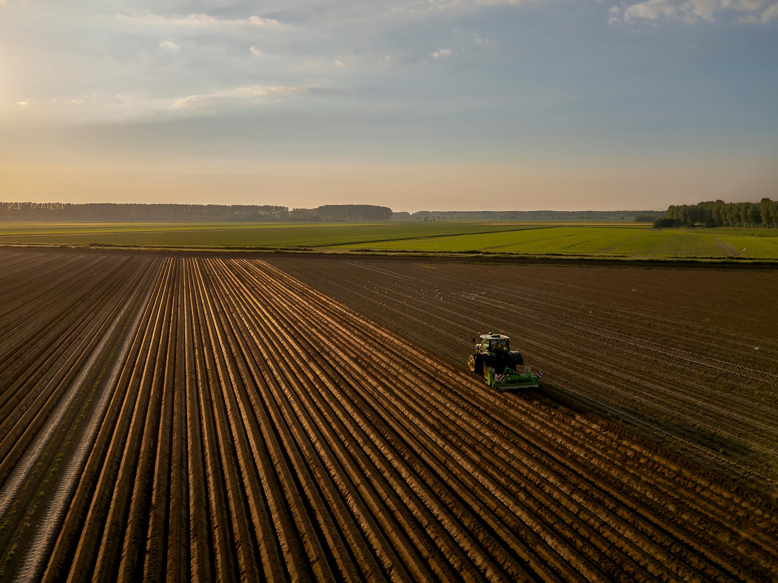 Raised planting beds being prepared on a modern large-scale arable farm in Koewacht, the Netherlands. Image credit: Tom De Decker via Unsplash.