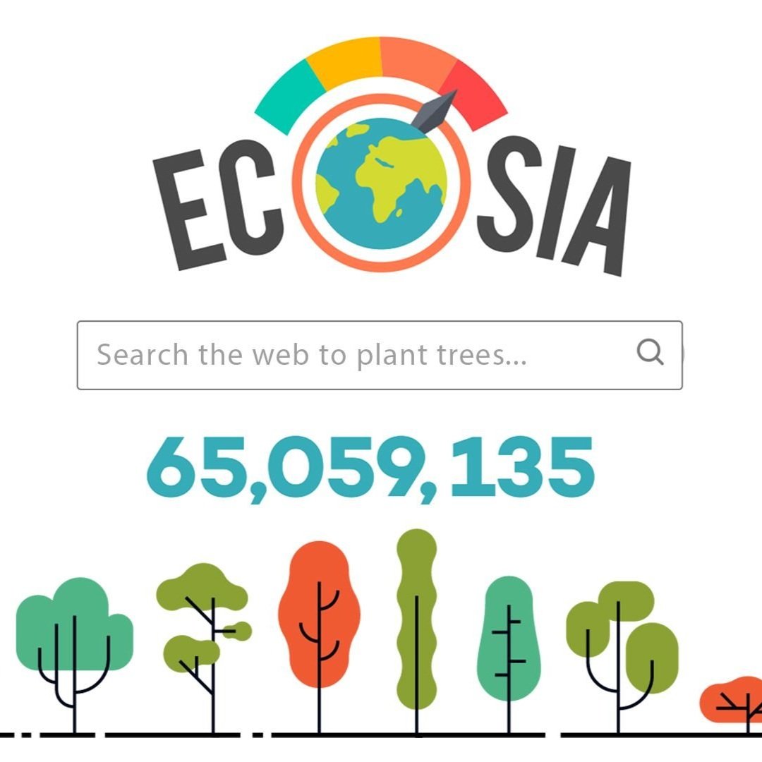 Thought-leading tech company Ecosia has been an avid and long-time supporter of the global growing movement to criminalise ecocide.