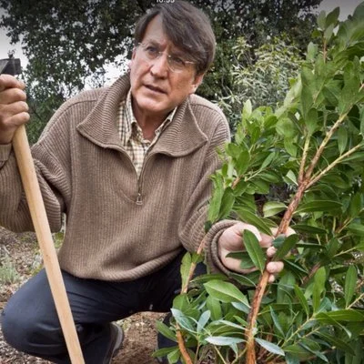 Joaquín Araújo