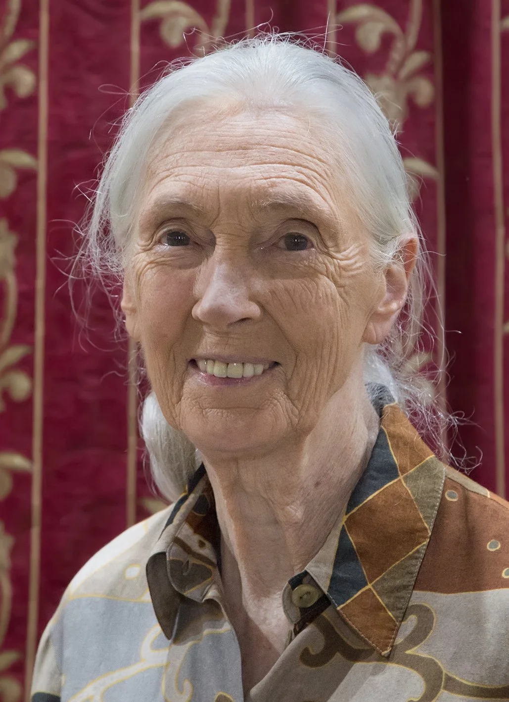 Dr. Jane Goodall DBE