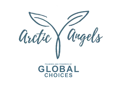 Arctic Angels
