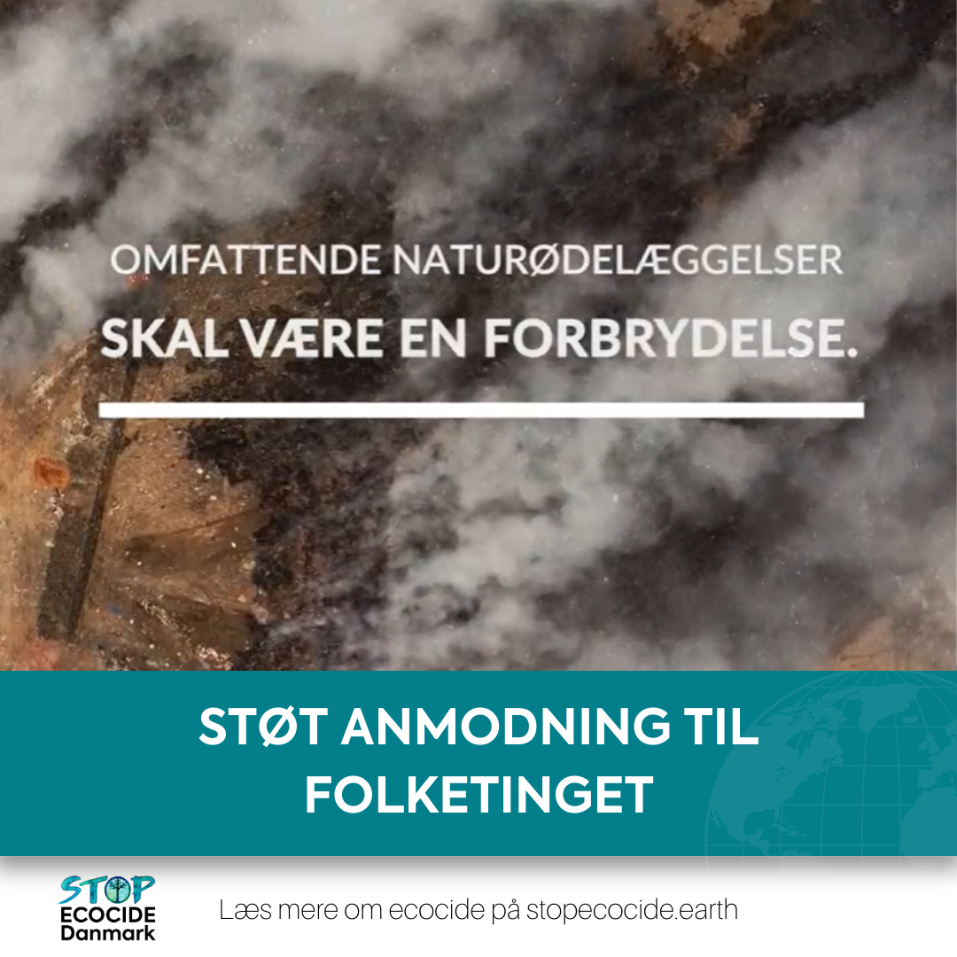 Stot
