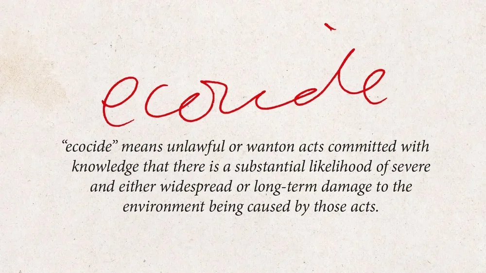 Definition of ecocide