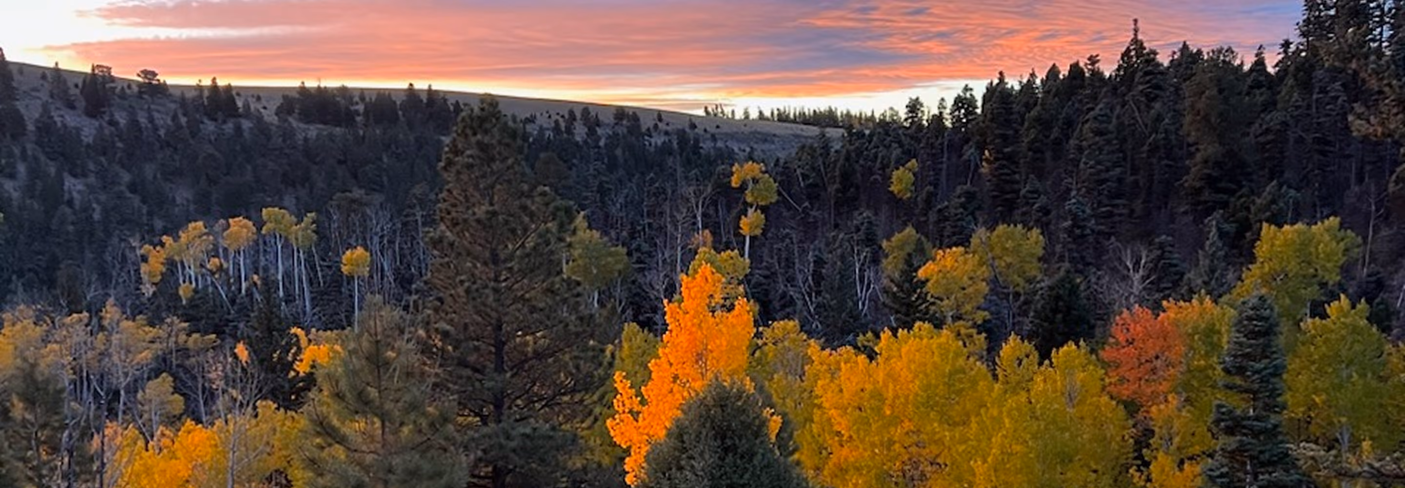 New Mexico landscape, hero slide 5