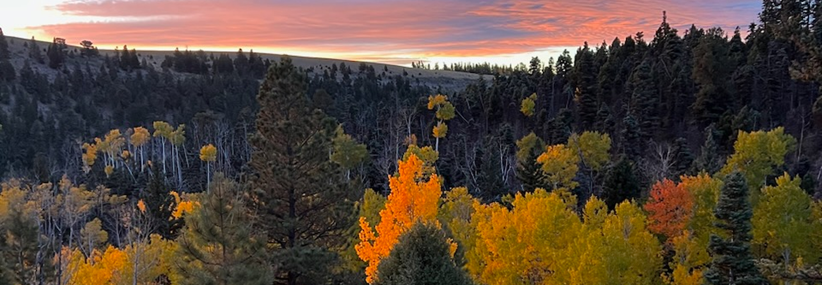 New Mexico landscape, hero slide 5
