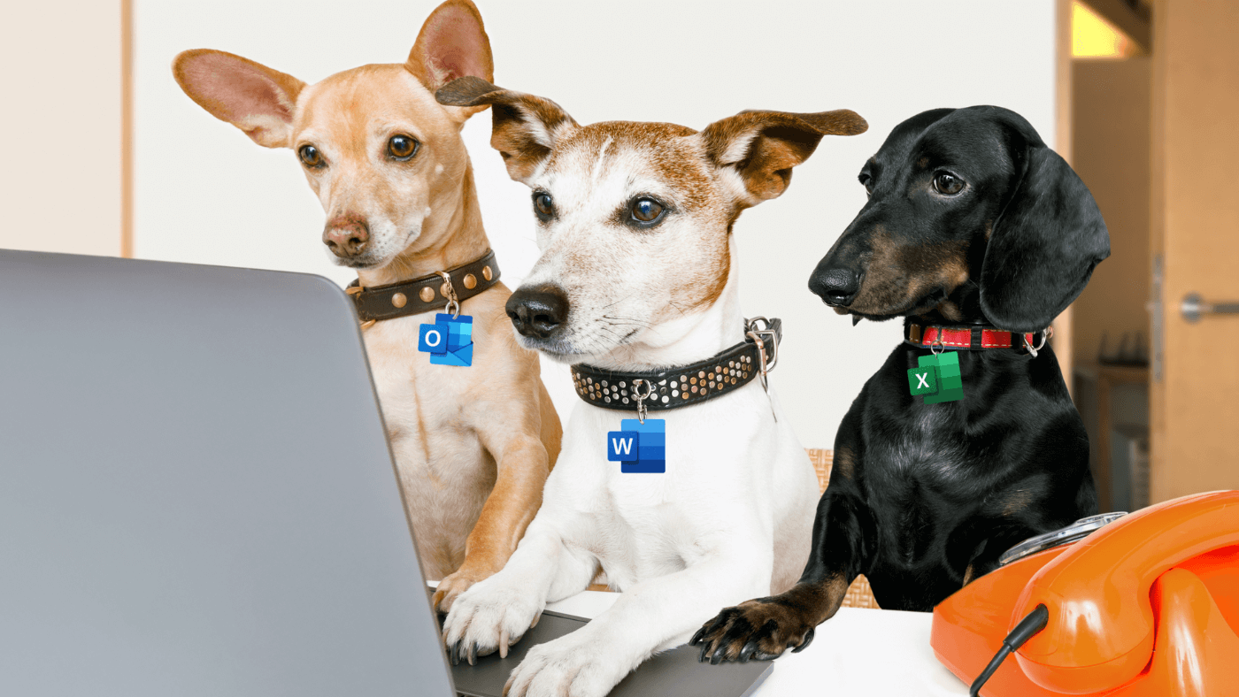 "Pawalegals" working at a computer together