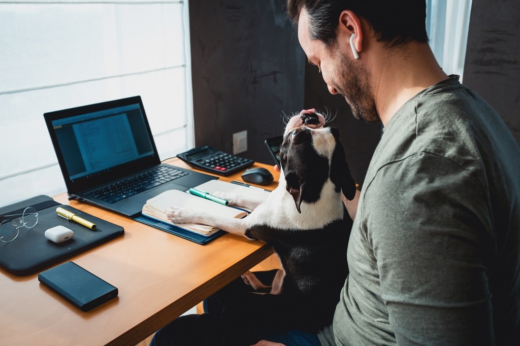 can lawyers work remotely