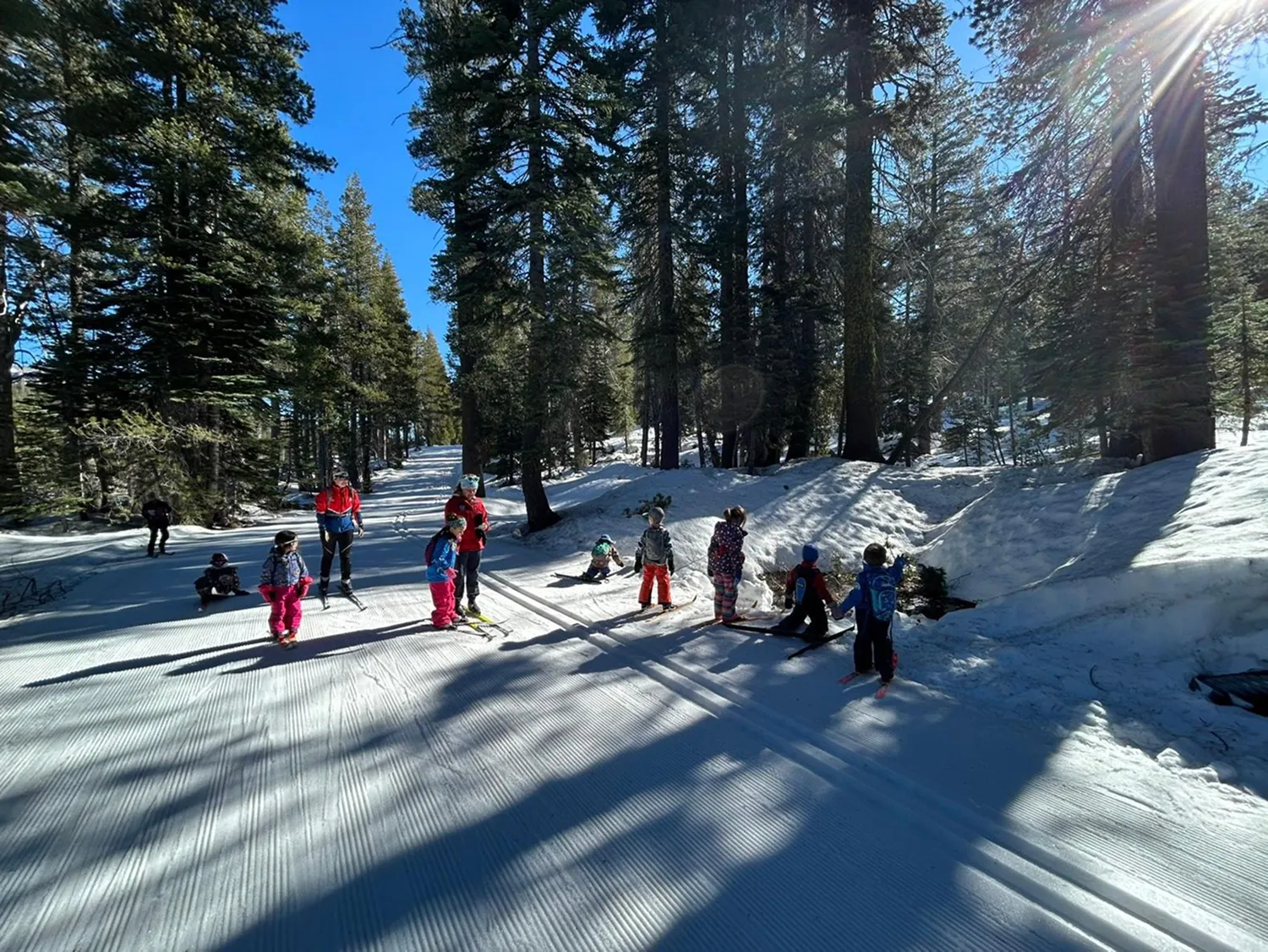 Children and adults skiing and playing on a groomed snowy trail in a forest with sun rays.