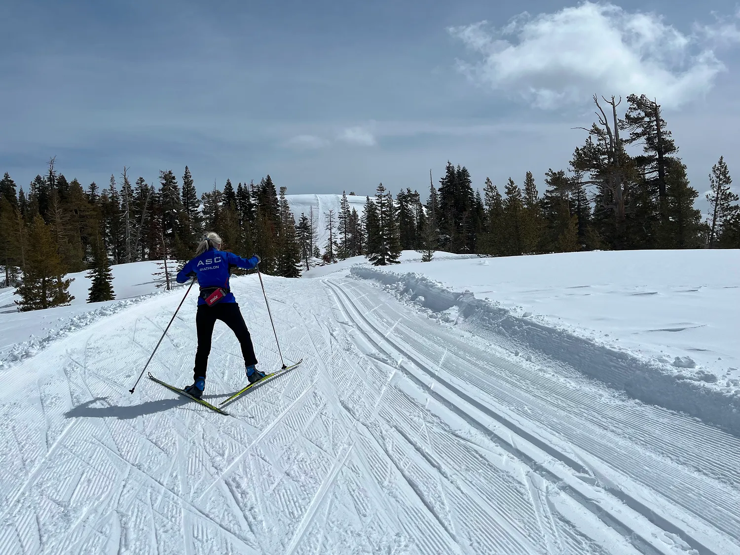 Skier in blue jacket cross-country skiing on snowy trail surrounded by pine trees under cloudy sky.
