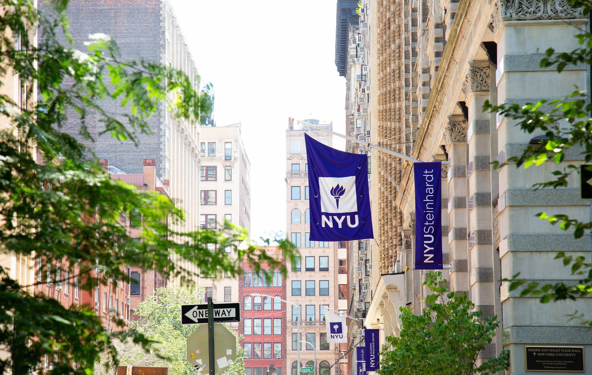 NYU case study — Principles & Strategies for Teaching Students with Low Incidence Disabilities