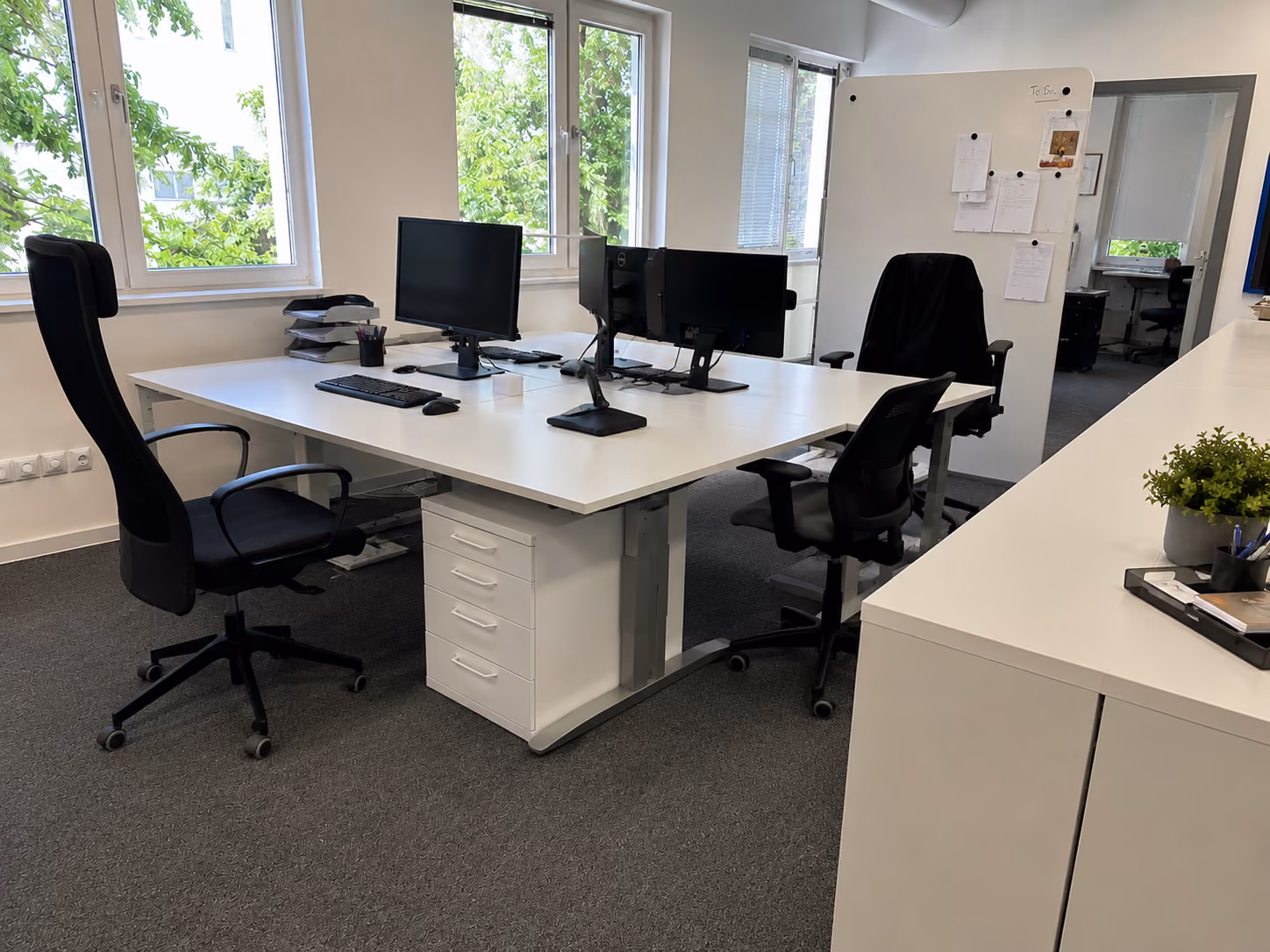 Modern office with white desks, black swivel chairs, computer monitors, and green plants by windows.