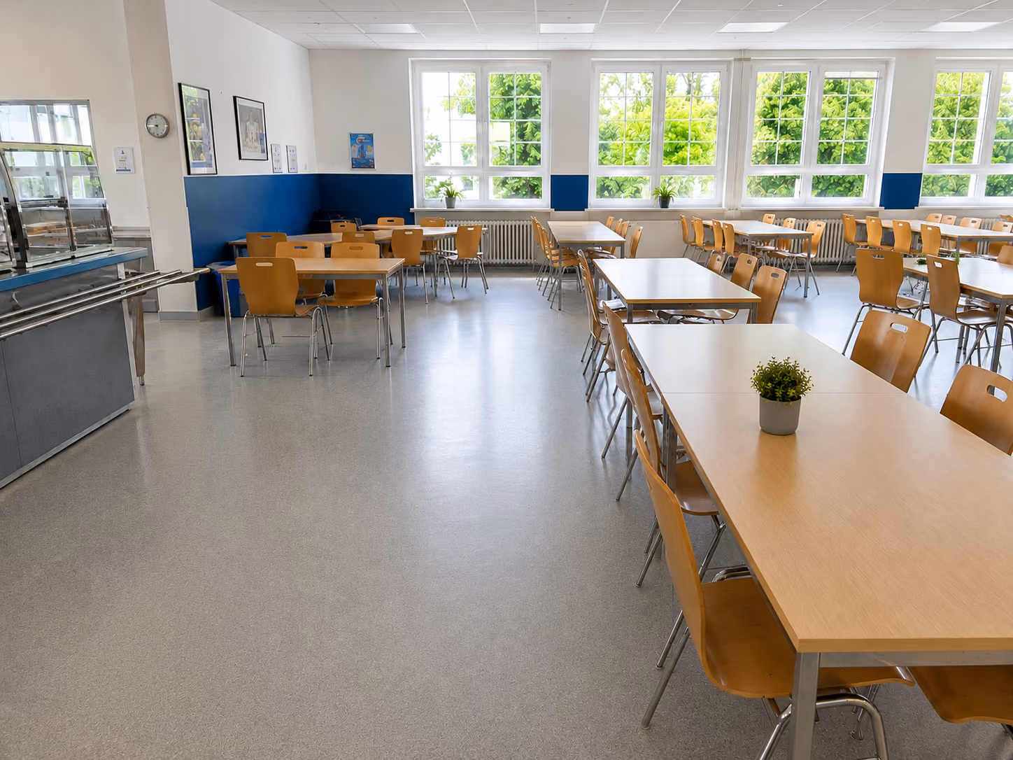 Bright, spacious cafeteria with wooden chairs and tables, large windows, and a plant on a table.