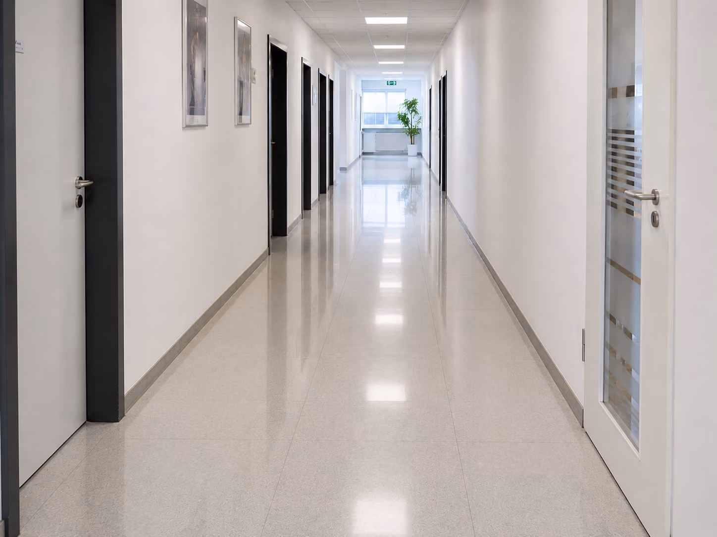 Long clean corridor with multiple dark and white doors and a potted plant at the end near a window.