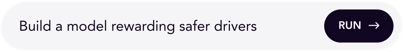 A prompt bar with the text 'Build a model rewarding safer drivers' and a dark button labeled 'RUN' with an arrow pointing right.