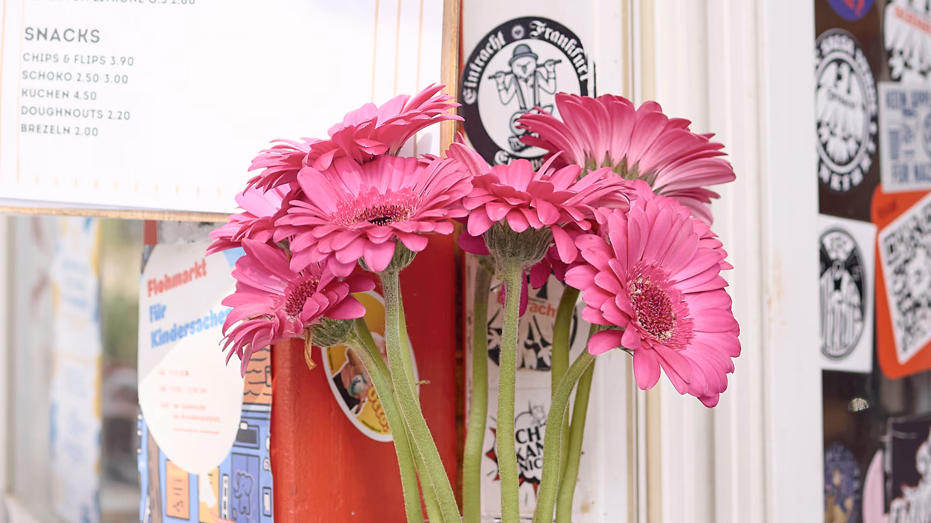 Rosa Gerbera in einer Vase vor der Snackkarte eines Wasserhäuschens