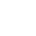 icon co-pilot