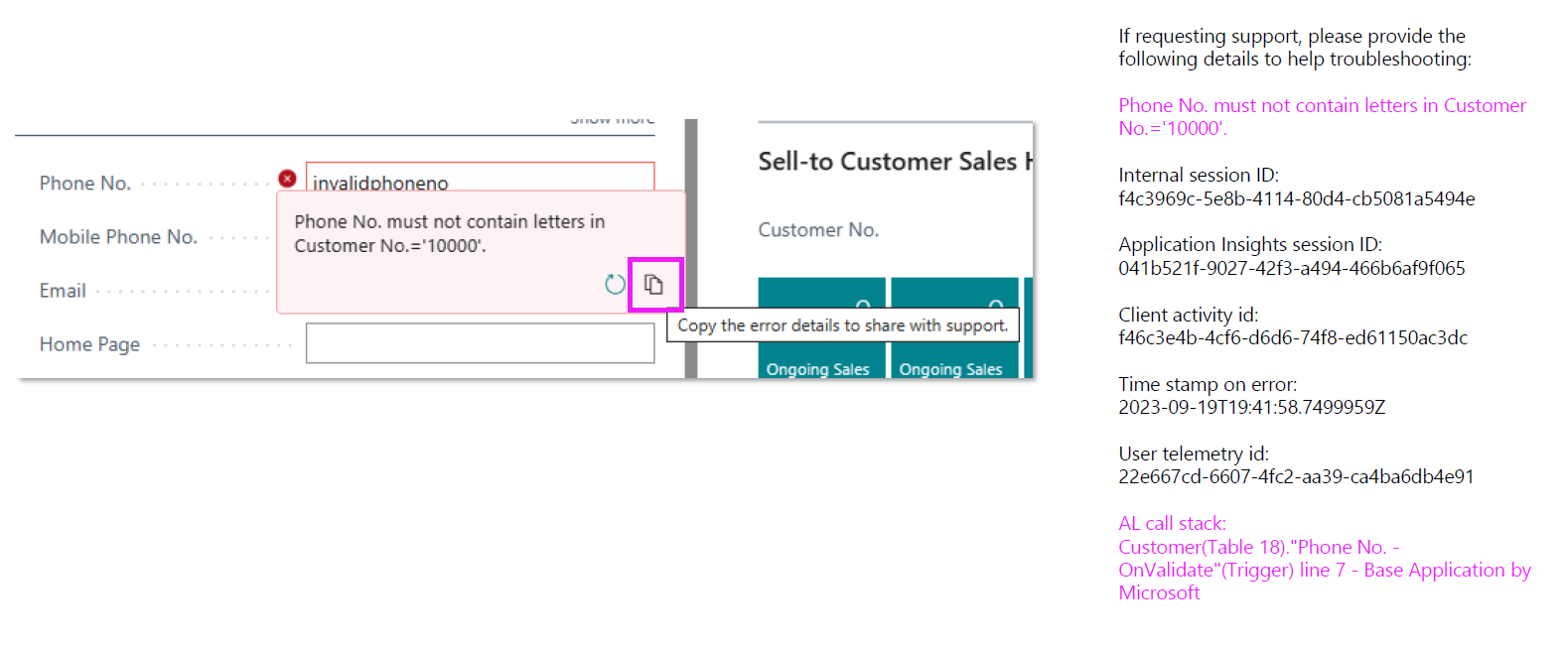 Screenshot of validation error for phone number with copy details option.