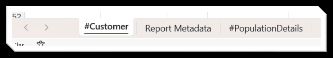 Screenshot of Excel report with multiple data sheet tabs, including Customer, Report Metadata, and PopulationDetails.