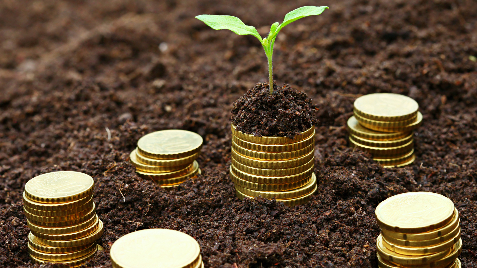 How we digitally transformed our financial planning