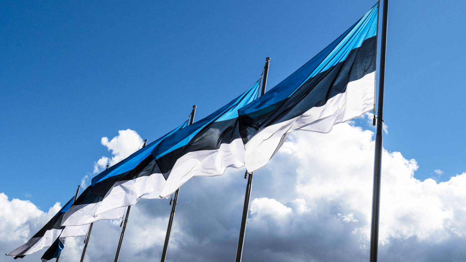 Digital Mind enters Estonian market