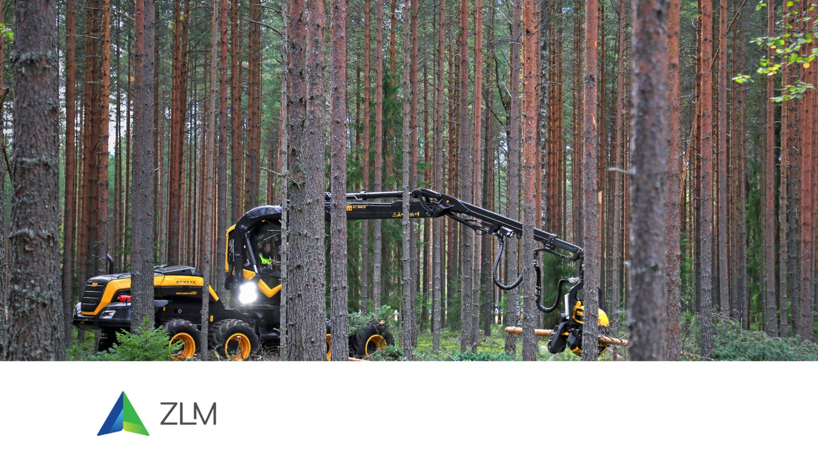 Ziemeļlatvijas Mežsaimnieks sows the seeds for a sustainable and innovative future