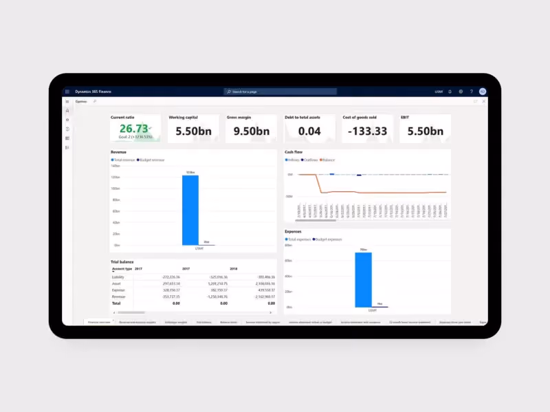 Forecast cash flow with precision