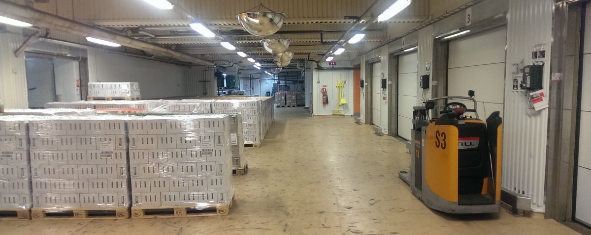 WMS w firmie produkcyjnej z branży FMCG