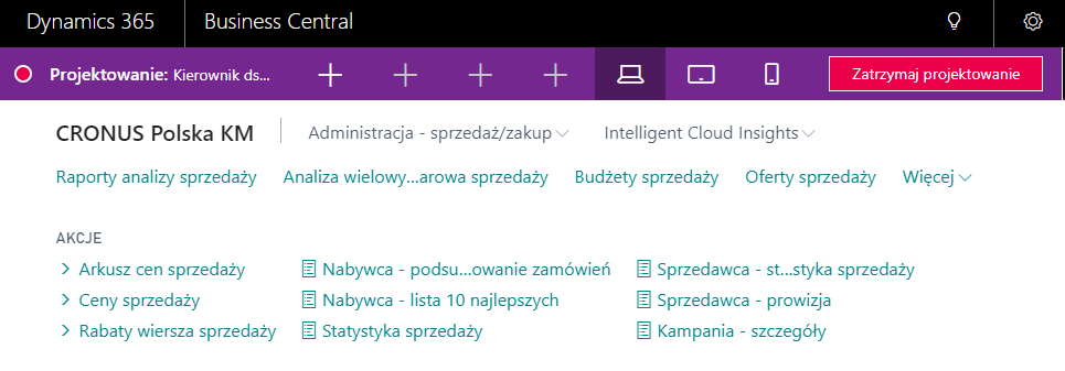 Business Central interface
