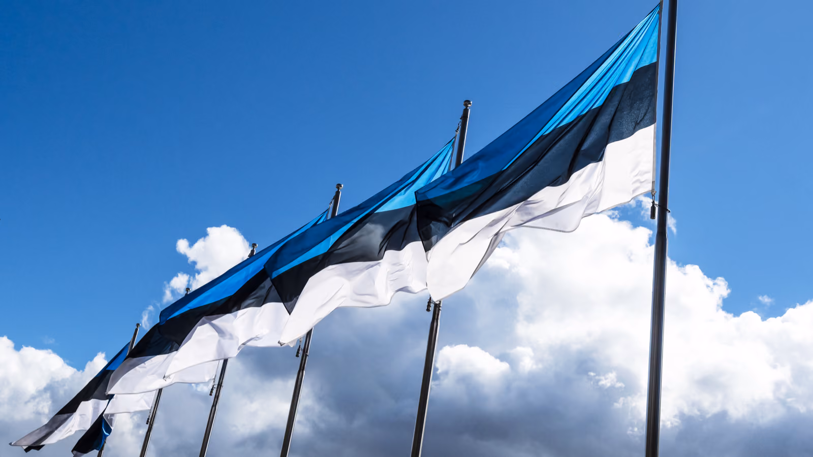 Digital Mind enters Estonian market