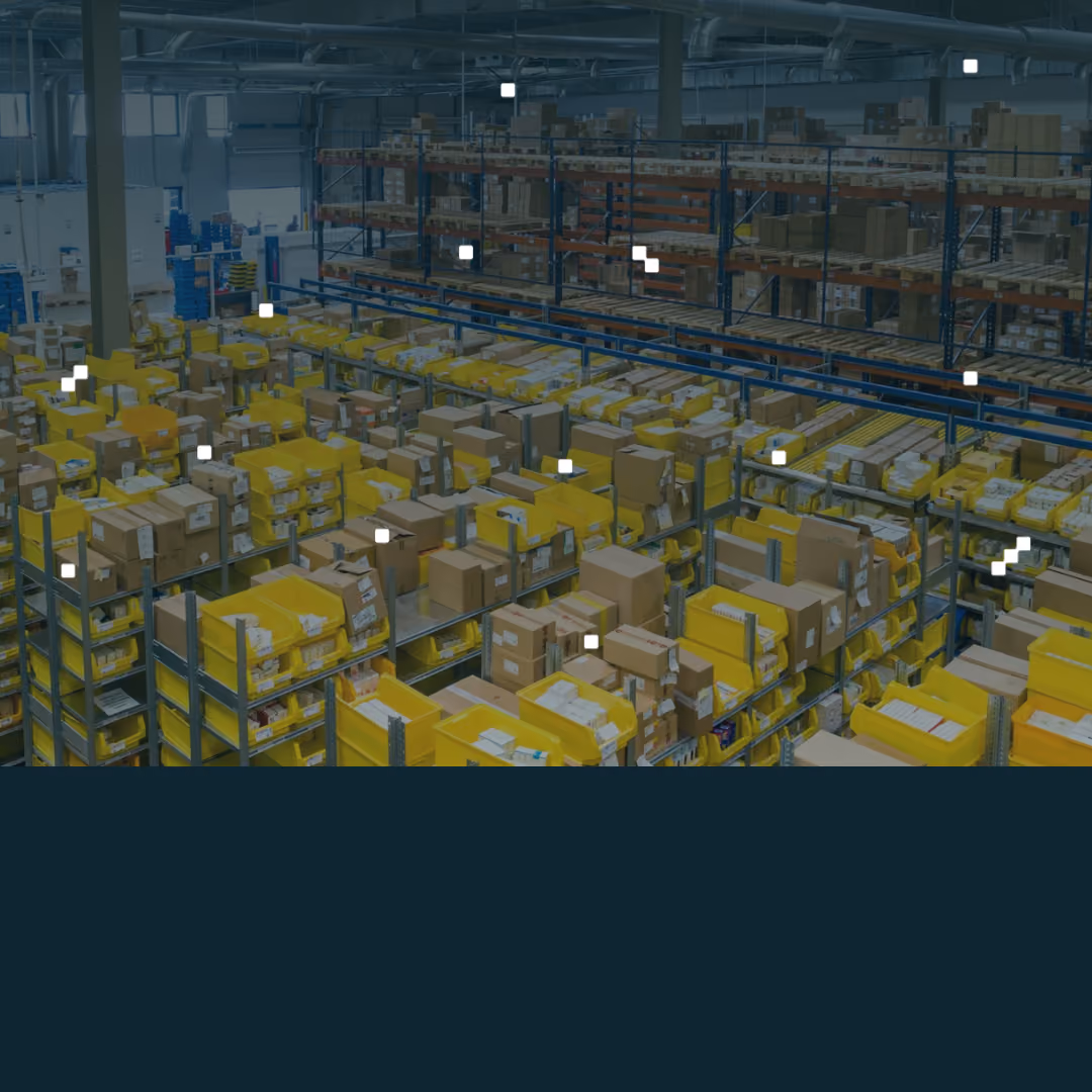 We are excited to share the next successful Success Story. This time, it's about the implementation of Dynamics NAV at SSI SCHÄFER