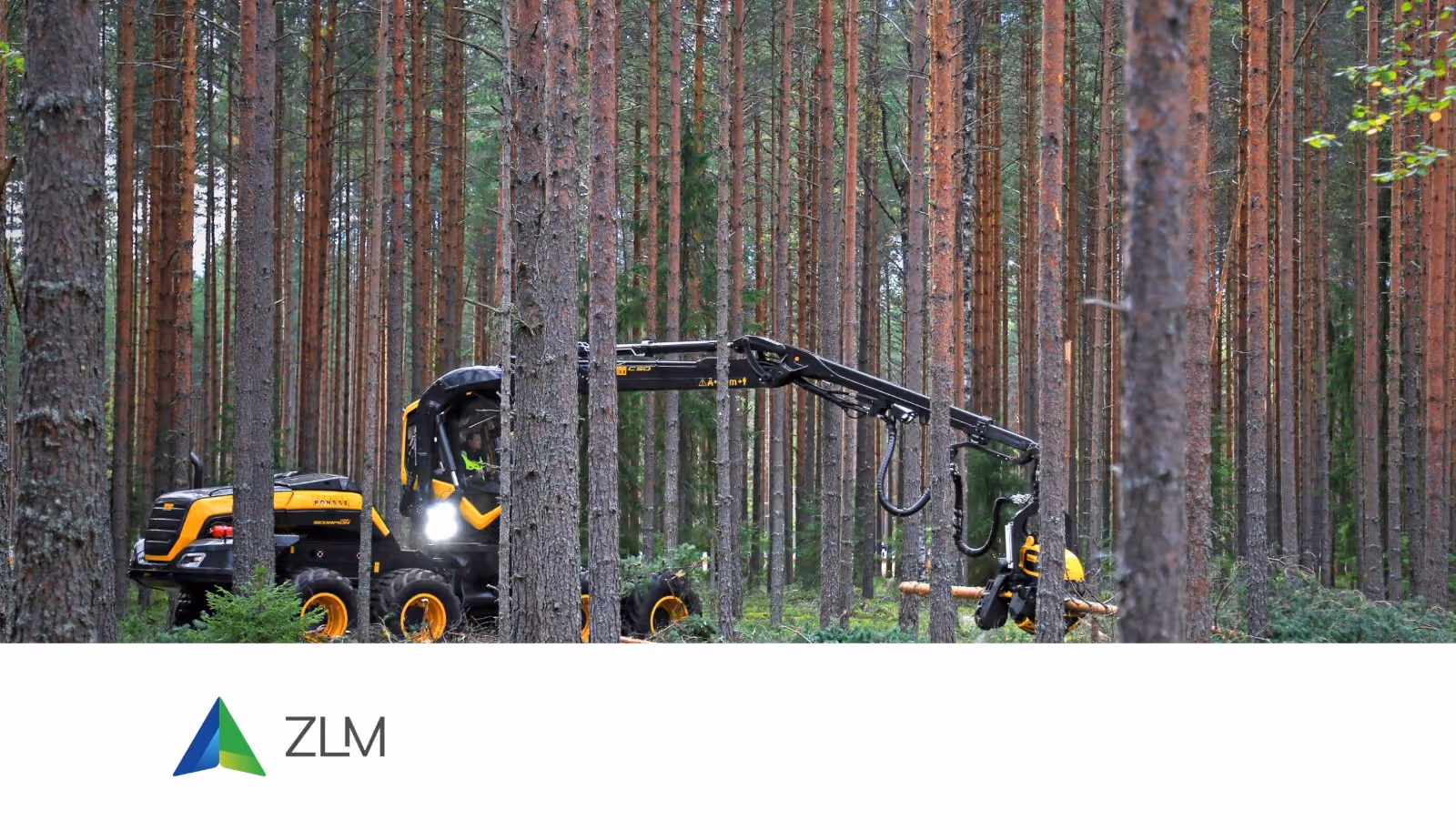 Ziemeļlatvijas Mežsaimnieks sows the seeds for a sustainable and innovative future