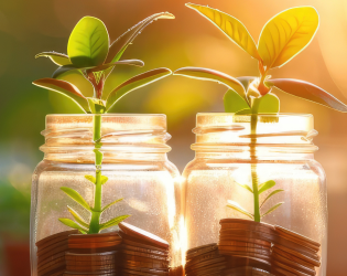 Financial Services and Insurance