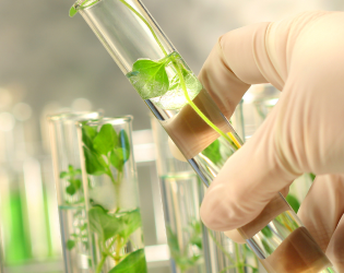Healthcare and Life Sciences