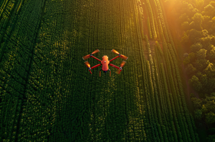 Sustainability and Monitoring