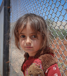 Young girl holding a teddy bear behind a chain-link fence