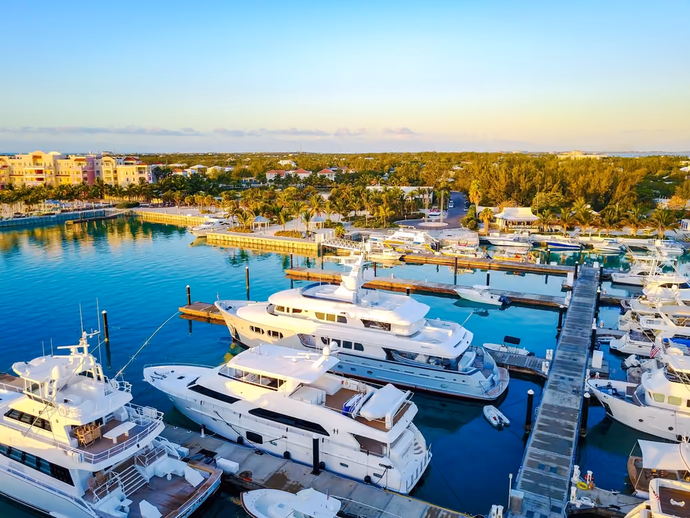 A marina with several luxury yachts docked in calm blue water near a coastal resort area.