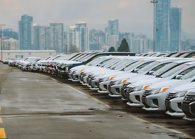 Long row of white cars parked outdoors against a city skyline in overcast weather.