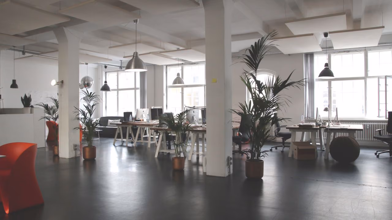 Modern open office with desks, computers, office chairs, large windows, and potted plants.