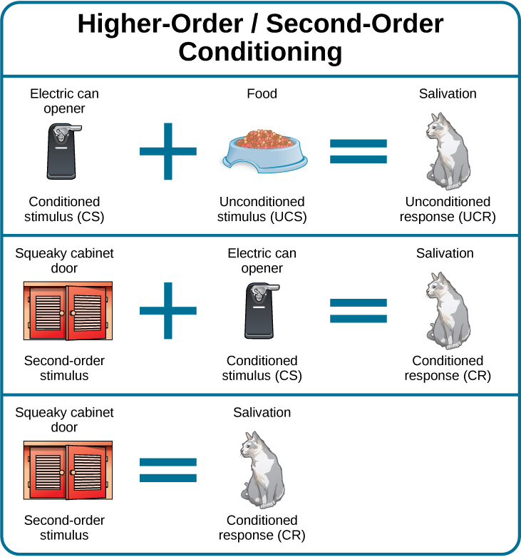 AP Psychology Unit 3: In higher-order conditioning, an established conditioned stimulus is paired with a new neutral stimulus to create a new conditioned response