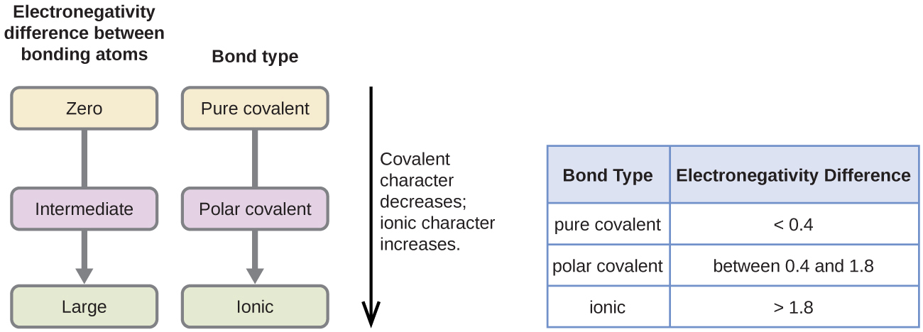 Electronegativity difference and bond type from nonpolar covalent to ionic for AP Chemistry Unit 2