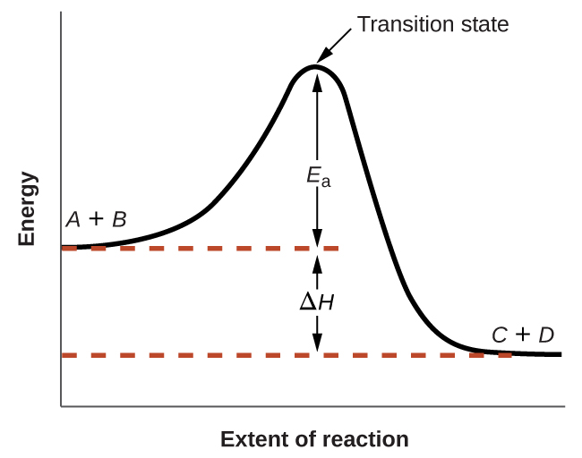 Reaction energy diagram showing exothermic reaction with activation energy for AP Chemistry Unit 5