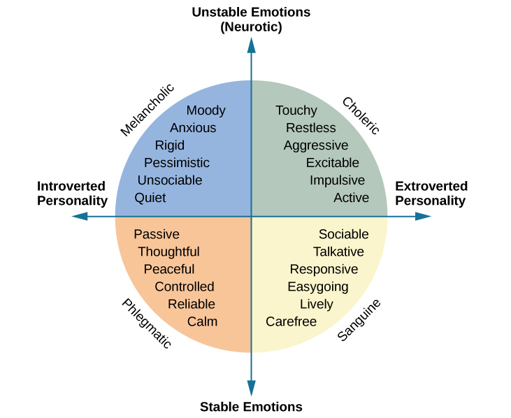 AP Psychology Unit 4: The Eysencks described two factors to account for variations in our personalities: extroversion/introversion and emotional stability/instability
